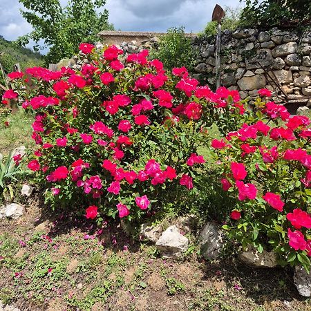 Fagnano Alto Dimora Dei Baldi - Rooms & Relax מראה חיצוני תמונה